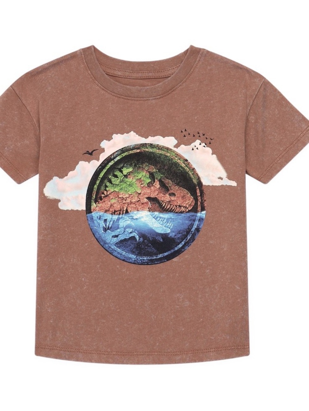 Kids Brown Dinosaur Graphic Tee